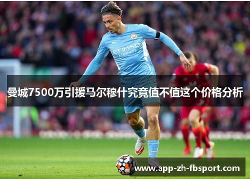 曼城7500万引援马尔穆什究竟值不值这个价格分析