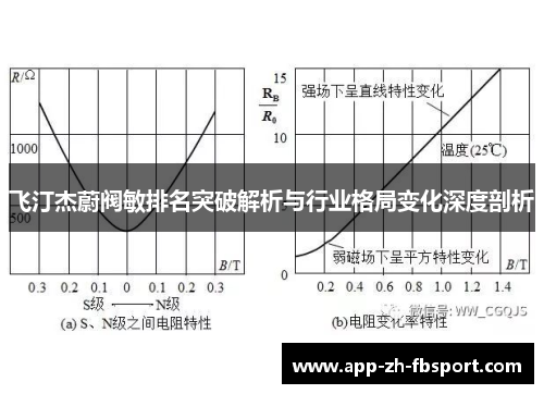 飞汀杰蔚阀敏排名突破解析与行业格局变化深度剖析